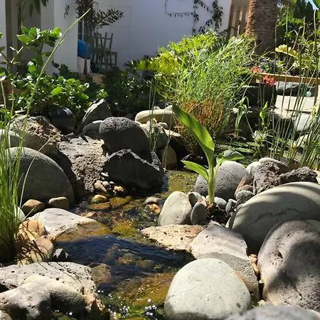 Casa Calima * Charco del Pino